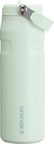 STAN 24OZ ICEFLW AEROL MIST